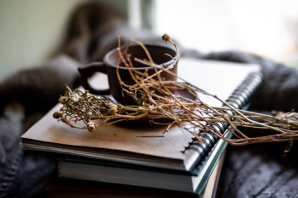 Warm and inviting still life of a cup, dried branches, and notebooks on a cozy blanket.